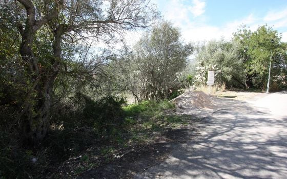  Pozemek v Orba- PGP70403 - Foto - Small - 11