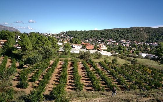 Terrain de  à Orba- PGP70416 - Photo - 2