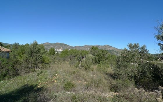 Terrain de  à Jalón- PGP131686 - Photo - Small - 7