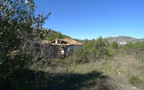 Terrain de  à Jalón- PGP131686 - Photo - Small - 6