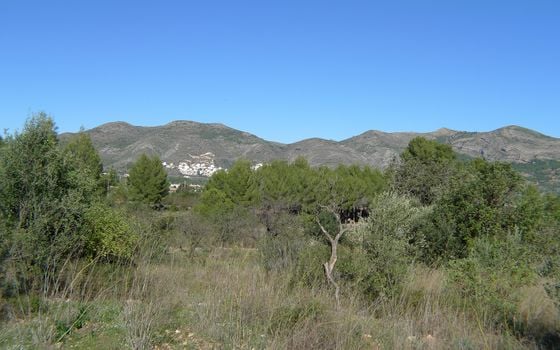 Terrain de  à Jalón- PGP131686 - Photo - Small - 8
