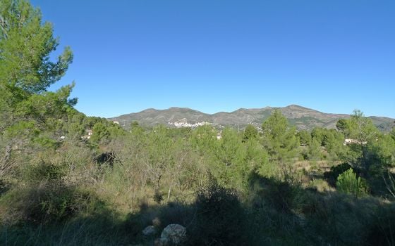Terrain de  à Jalón- PGP131686 - Photo - Small - 10