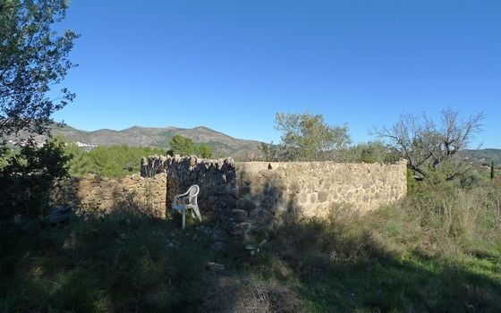 Terrain de  à Jalón- PGP131686 - Photo - Small - 11