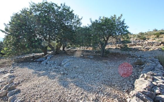  Pozemek v Benimeli- PGP70448 - Foto - 4