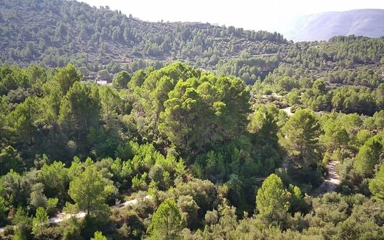  Pozemek v Orba- PGP70459 - Foto - 3