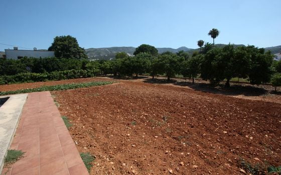 Villa de 6 chambres à Pedreguer - PGP70460 - Photo - Small - 25