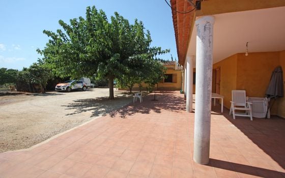 Villa de 6 chambres à Pedreguer - PGP70460 - Photo - Small - 20