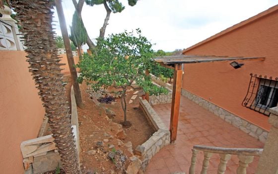 Villa de 4 chambres à Denia - PGP70507 - Photo - Small - 22