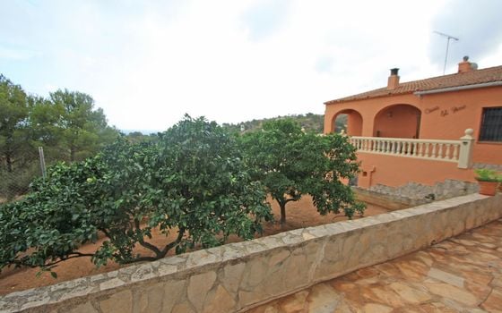 Villa de 4 chambres à Denia - PGP70507 - Photo - Small - 23
