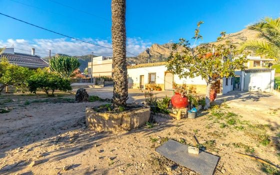 Villa de 4 chambres à Orihuela - JJ70743 - Photo - Small - 17