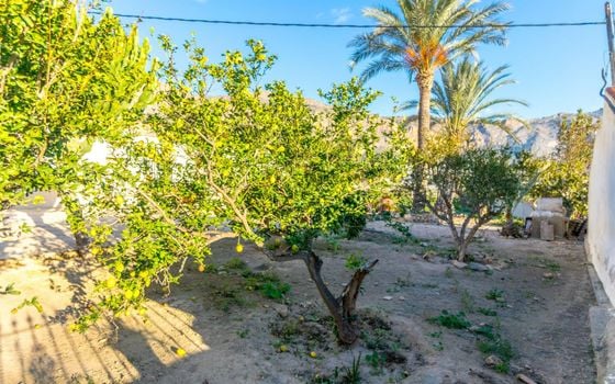 Villa de 4 chambres à Orihuela - JJ70743 - Photo - Small - 21