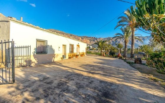 Villa de 4 chambres à Orihuela - JJ70743 - Photo - Small - 19