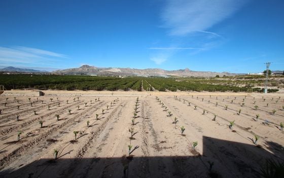 Vilă cu 6 dormitoare în Murcia - RCJ147729 - Imagini - Small - 36