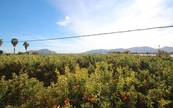 Vilă cu 6 dormitoare în Murcia - RCJ147729 - Imagini - Small - 34