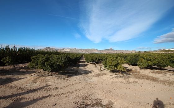 Vilă cu 6 dormitoare în Murcia - RCJ147729 - Imagini - Small - 35