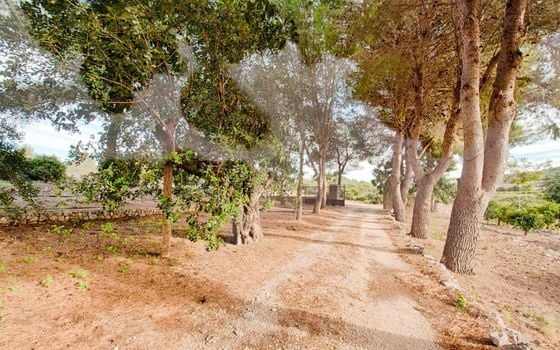 Villa de 4 chambres à Gata de Gorgos - MIG75438 - Photo - Small - 40