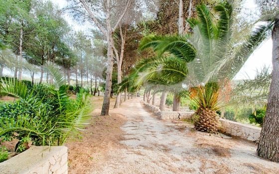 Villa de 4 chambres à Gata de Gorgos - MIG75438 - Photo - Small - 38