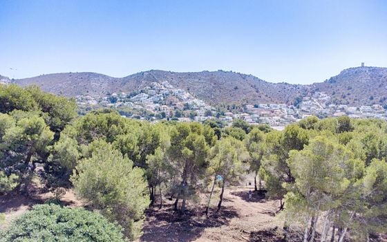 Parcela de  en Moraira- MIG75455 - Foto - 1