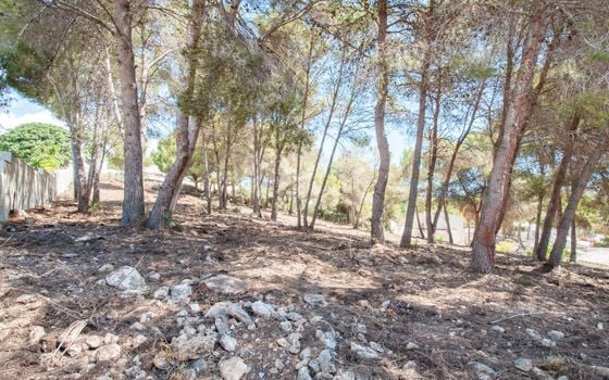 Parcela de  en Moraira- MIG75455 - Foto - 3