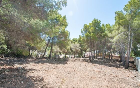 Parcela de  en Moraira- MIG75455 - Foto - 5