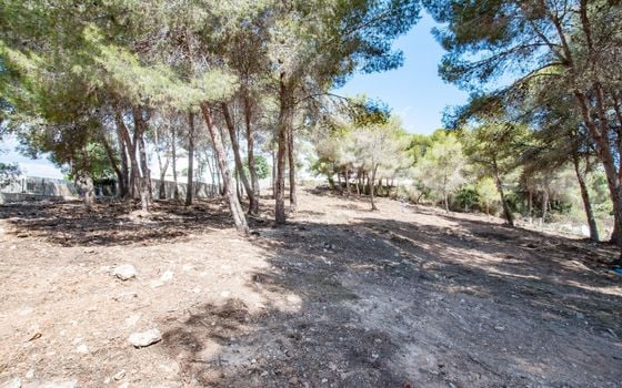Parcela de  en Moraira- MIG75455 - Foto - 2