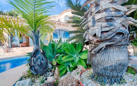 Villa de 3 chambres à Moraira - MIG75463 - Photo - Small - 37