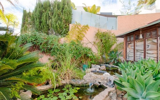 Villa de 3 chambres à Moraira - MIG75463 - Photo - Small - 38
