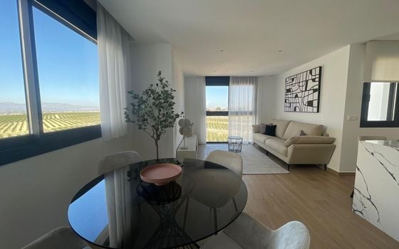 3 bedroom Villa in Algorfa - SHL75832 - Photo - 2