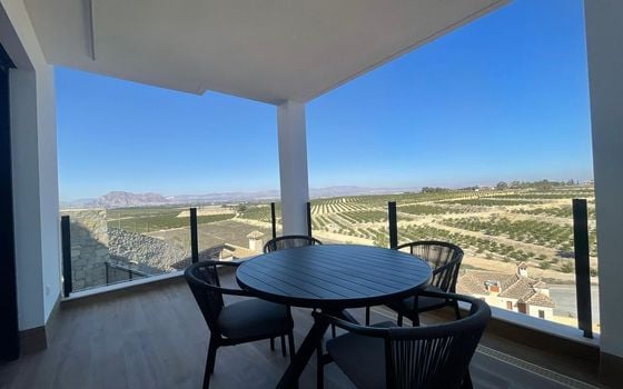 3 bedroom Villa in Algorfa - SHL75832 - Photo - Small - 28