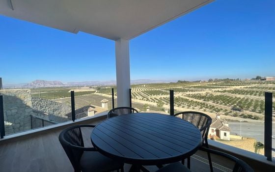 3 bedroom Villa in Algorfa - SHL75832 - Photo - Small - 29