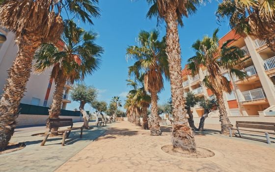 2 Schlafzimmer Appartement in Lomas de Cabo Roig - FS111617 - Foto - Small - 11