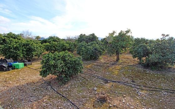 4 bedroom Villa in Ondara - PGP76244 - Photo - Small - 17