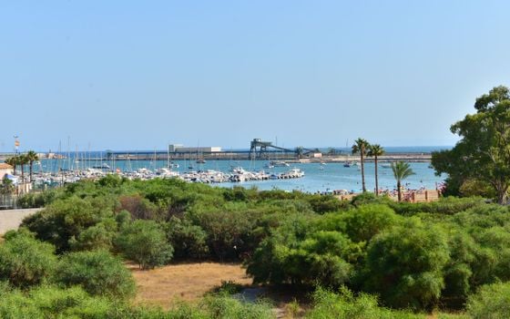 Appartement de 3 chambres à Torrevieja - TT76525 - Photo - Small - 11