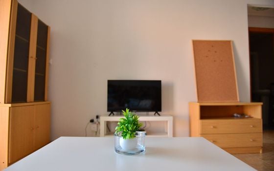 3 bedroom Apartment in Torrevieja - TT76525 - Photo - 3