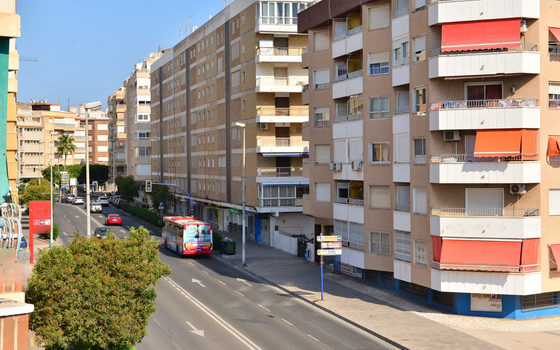 Appartement de 3 chambres à Torrevieja - TT76525 - Photo - Small - 13