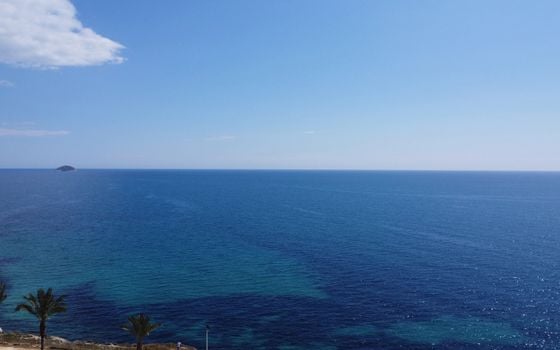 1 bedroom Apartment in Villajoyosa - QUA142932 - Photo - Small - 8