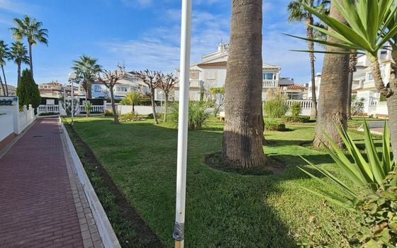 Villa de 4 chambres à Orihuela Costa - AG151126 - Photo - Small - 22