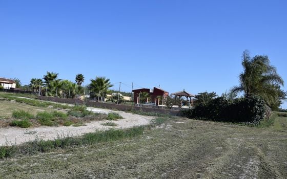 Parcela de  en Catral- NSP77213 - Foto - 4