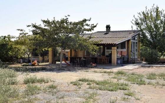 Parcela de  en Catral- NSP77213 - Foto - 1