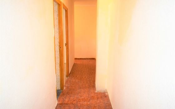 Appartement de 4 chambres à Guardamar del Segura - NSP77238 - Photo - Small - 21