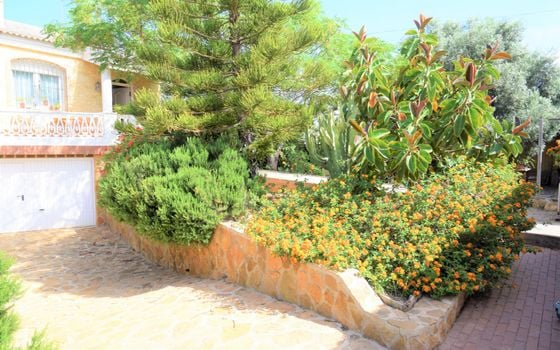 2 bedroom Villa in Torrevieja - NSP77246 - Photo - Small - 21