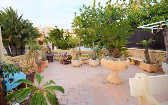 Villa de 5 chambres à Guardamar del Segura - NSP77254 - Photo - Small - 26