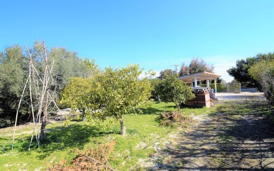 Vilă cu 3 dormitoare în Guardamar del Segura - NSP77255 - Imagini - Small - 18