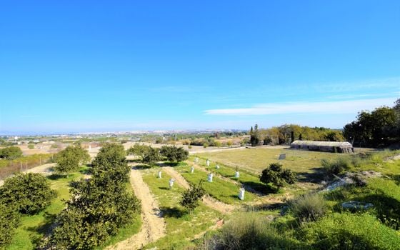 Vilă cu 3 dormitoare în Guardamar del Segura - NSP77255 - Imagini - Small - 21