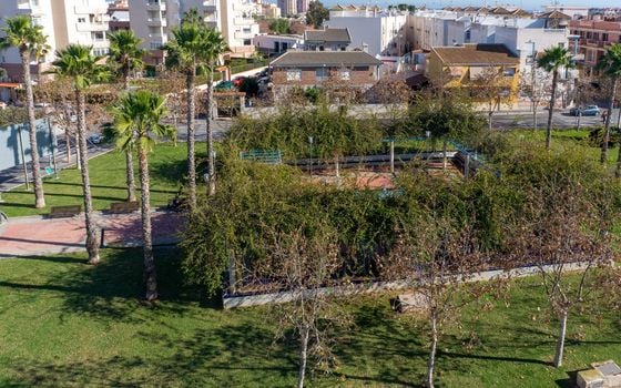 Casă Duplex cu 3 dormitoare în Torrevieja - NSP77256 - Imagini - Small - 15