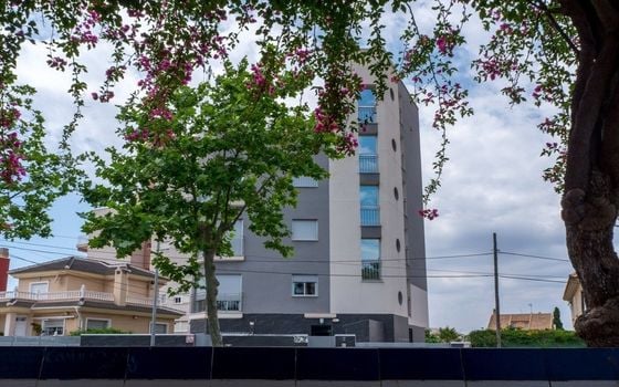 Casă Duplex cu 3 dormitoare în Torrevieja - NSP77256 - Imagini - Small - 12