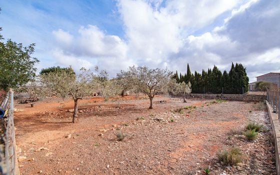 4 bedroom Villa in Benissa - MIG77725 - Photo - Small - 34