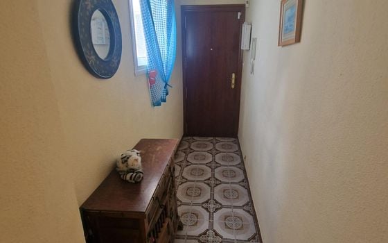 Apartament w Torrevieja, 3 sypialnie - VEC77798 - Zdjęcie - Small - 10