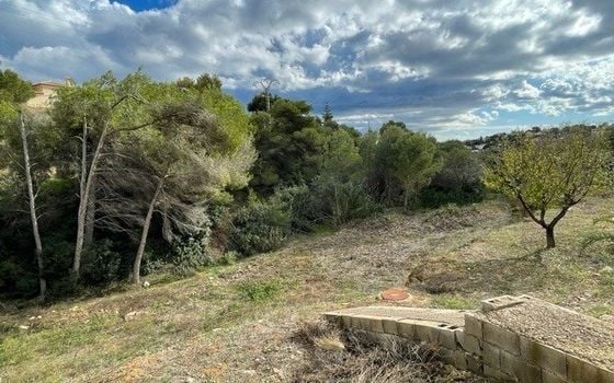 Участок в Бенисса, - IPR78383 - Фото - 3