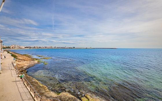 3 bedroom Apartment in Torrevieja - PSA137518 - Photo - Small - 22